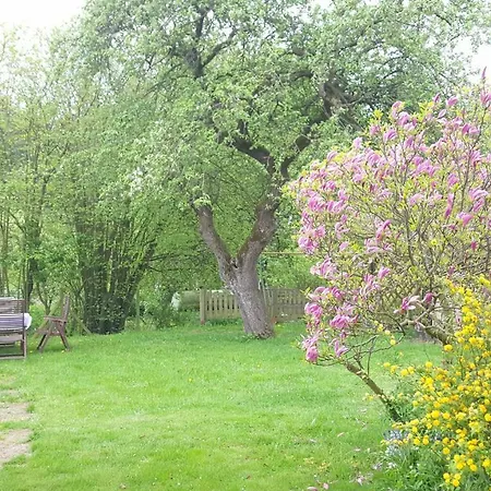 Rabe Haus Retzi Rabe בית הארחה גריבסמולן