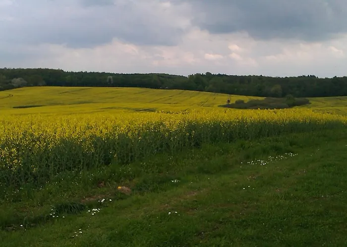 Rabe Haus Retzi Rabe 3*